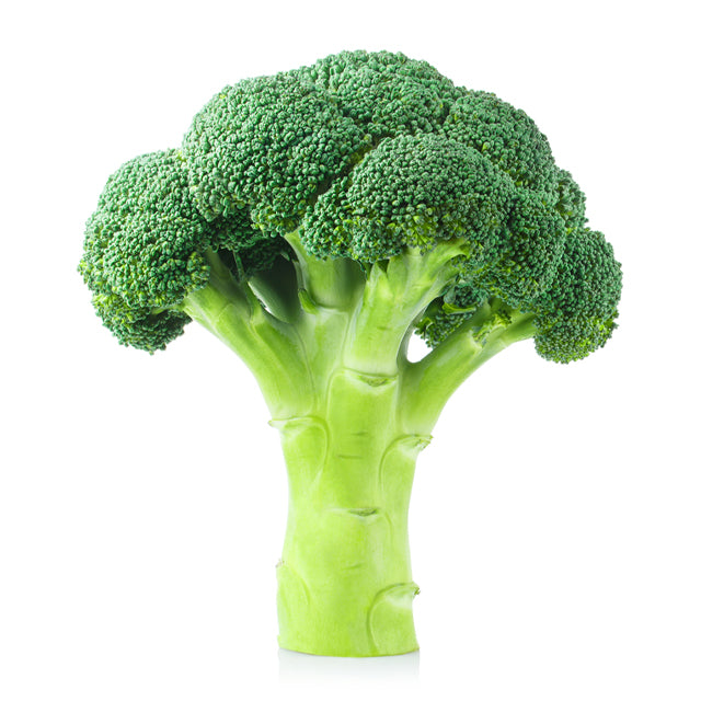 Broccoli