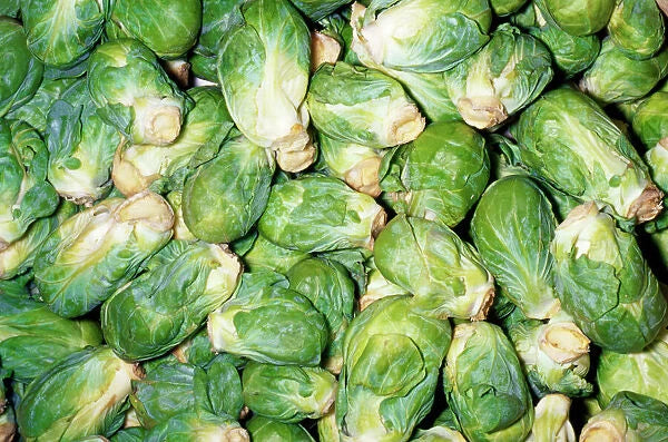 Brussels Sprouts