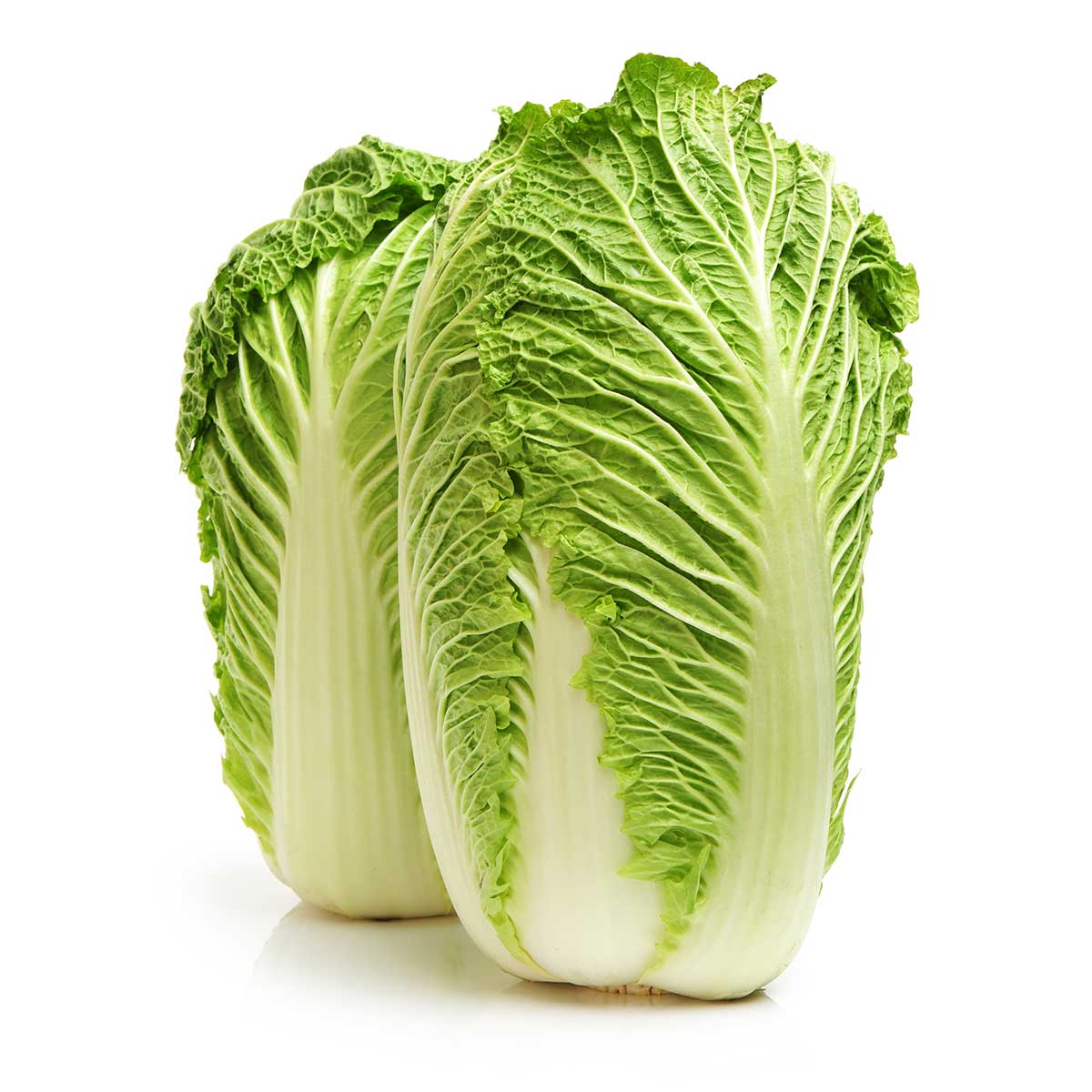 Chinese Cabbage