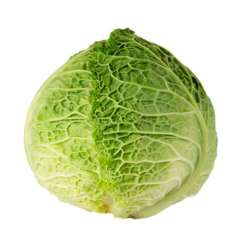 Green Cabbage