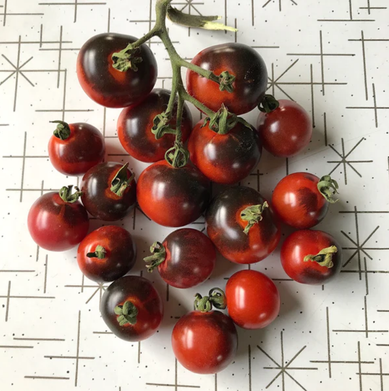 Vined Tomato - Ruby Red