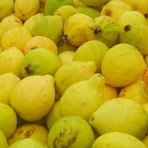 Egyptian Guava