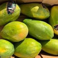 Brazil Papaya