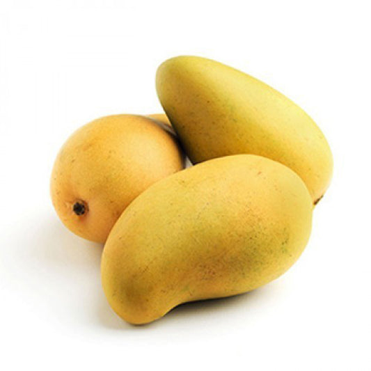 Sindhri (Honey) Mangoes